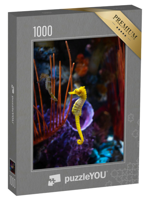 Puzzel 1000 stukjes „Zeepaardjes in het aquarium“