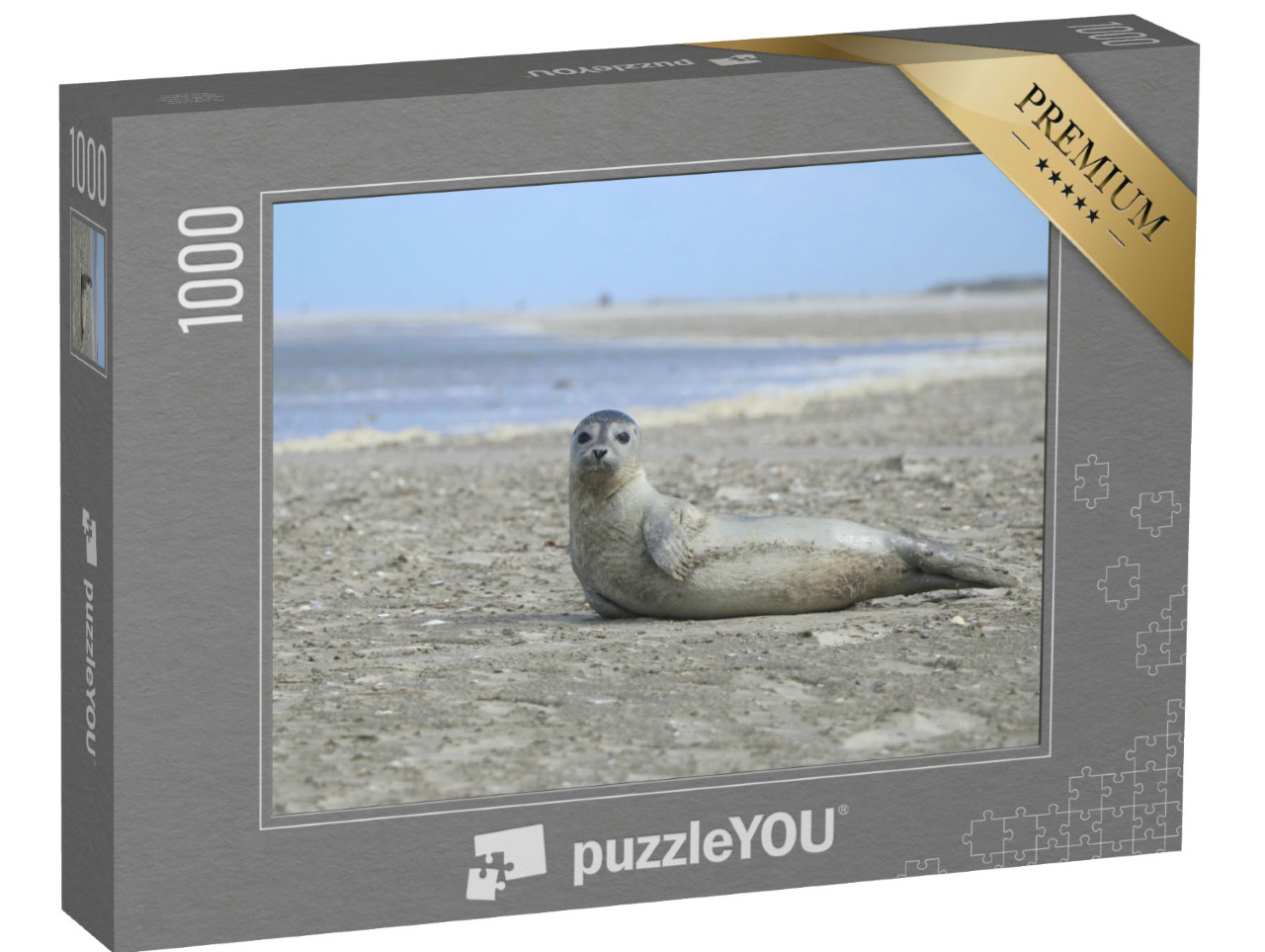 Puzzel 1000 stukjes „Een zeehond op het strand - Europa, Nederland, Schiermonnikoog“