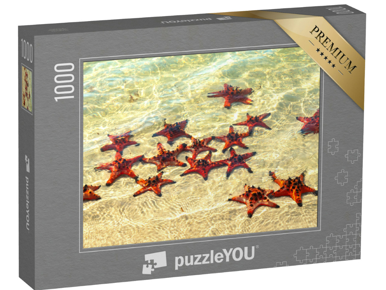 Puzzel 1000 stukjes „Zonnebadende zeesterren“