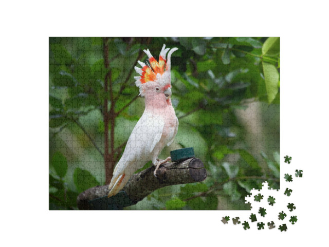 Puzzel 1000 stukjes „Majoor Mitchell Kaketoe“