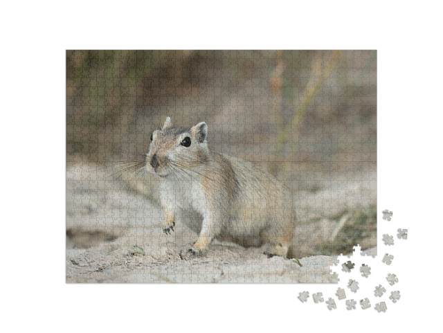 Puzzel 1000 stukjes „Grote gerbil in de Muyunkum Woestijn, Zuid-Kazachstan“