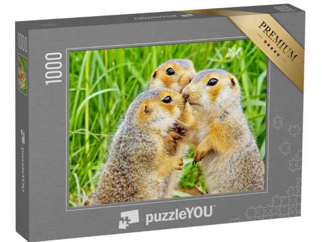 Puzzel 1000 stukjes „Eekhoorn“