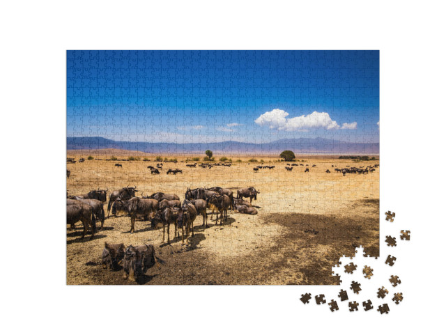 Puzzel 1000 stukjes „Ngorongorokrater in Tanzania“