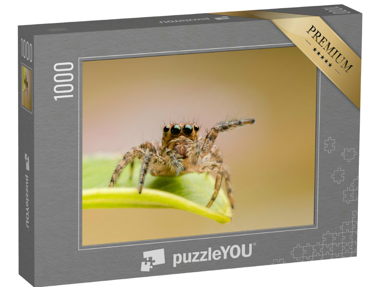 Puzzel 1000 stukjes „Macro close-up van de Hyllus springspin“