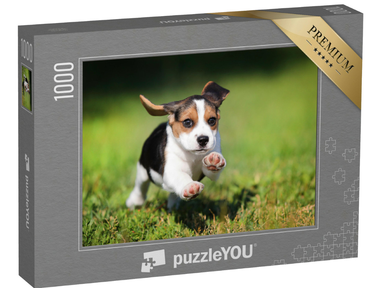 Puzzel 1000 stukjes „Een beagle puppy in het gras“