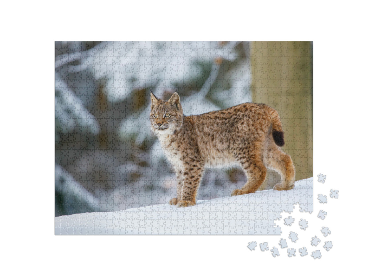 Puzzel 1000 stukjes „Euraziatische lynx in de winter“