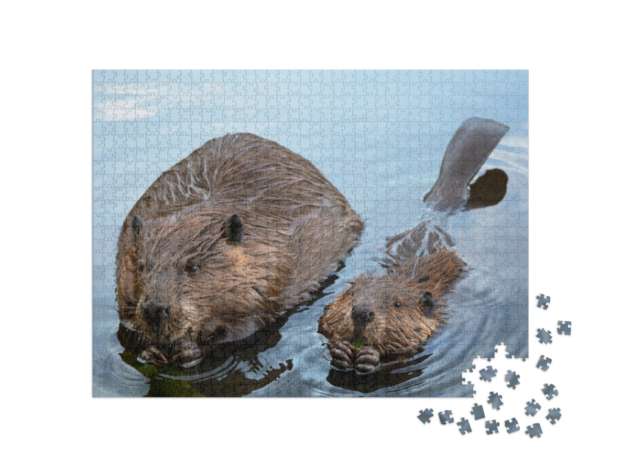 Puzzel 1000 stukjes „Mama bever en baby bever kauwen op takken“