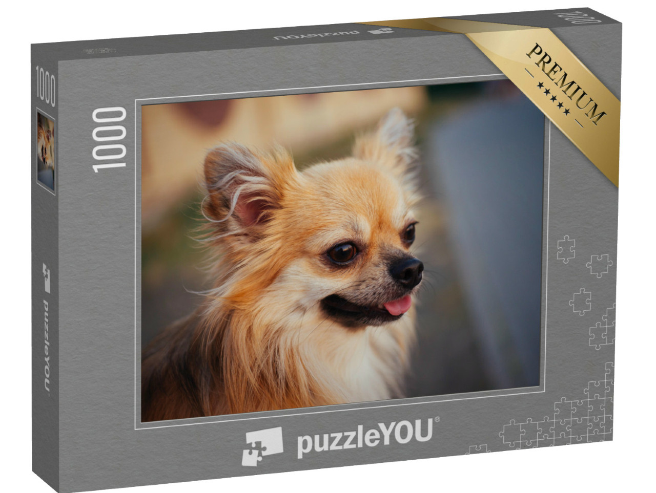 Puzzel 1000 stukjes „Portret van een langharige chihuahua buiten“