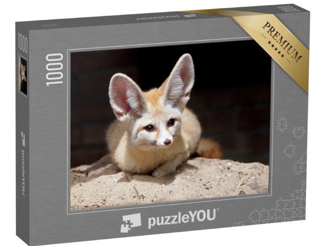 Puzzel 1000 stukjes „Fennec of woestijnvos“