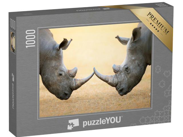Puzzel 1000 stukjes „Witte neushoorns, kop aan kop - Kruger National Park, Zuid-Afrika“