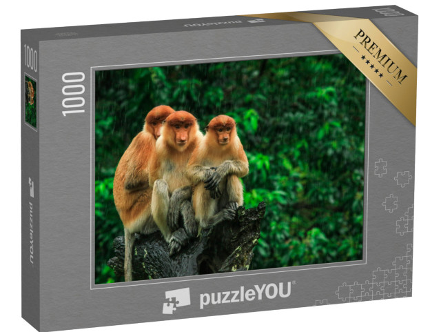 Puzzel 1000 stukjes „Slangapen in Borneo, Maleisië“