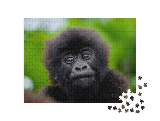 Puzzel 1000 stukjes „Een kleine babygorilla“
