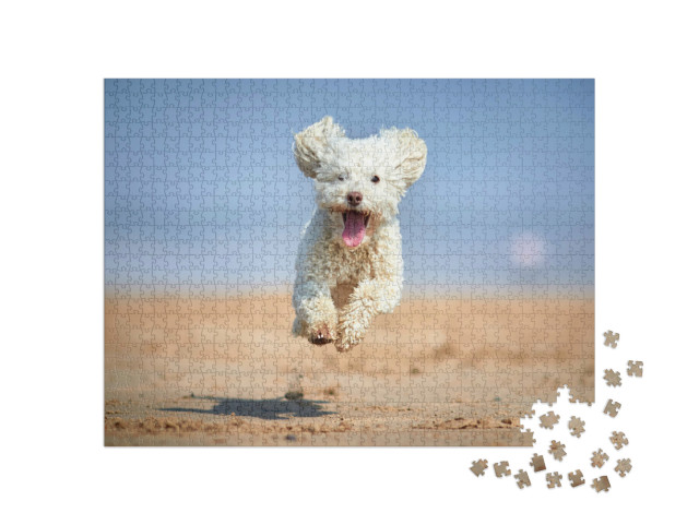 Puzzel 1000 stukjes „Dwergpoedel in volle ren op het strand“