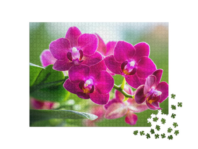 Puzzel 1000 stukjes „Het stralende roze van een bloeiende orchidee“