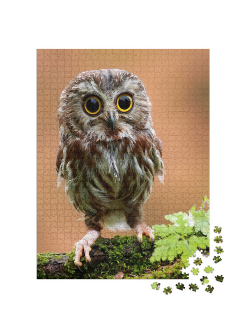 Puzzel 1000 stukjes „De schattige babyuil“