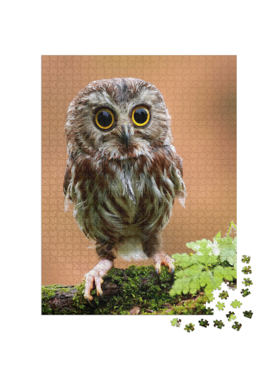 Puzzel 1000 stukjes „De schattige babyuil“