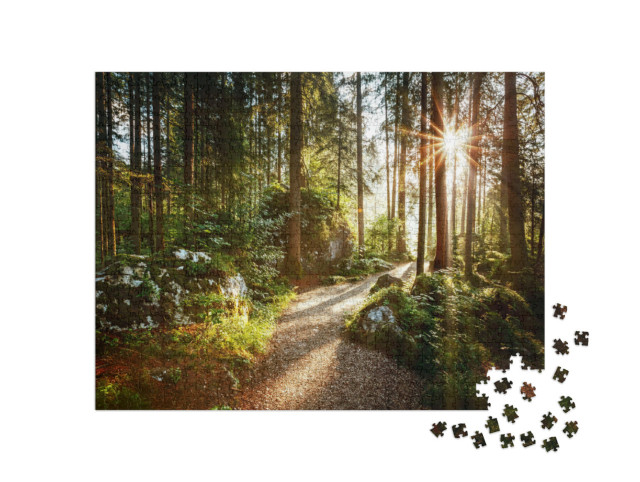 Puzzel 1000 stukjes „Landschap en pad door het bos in de ochtendzon“