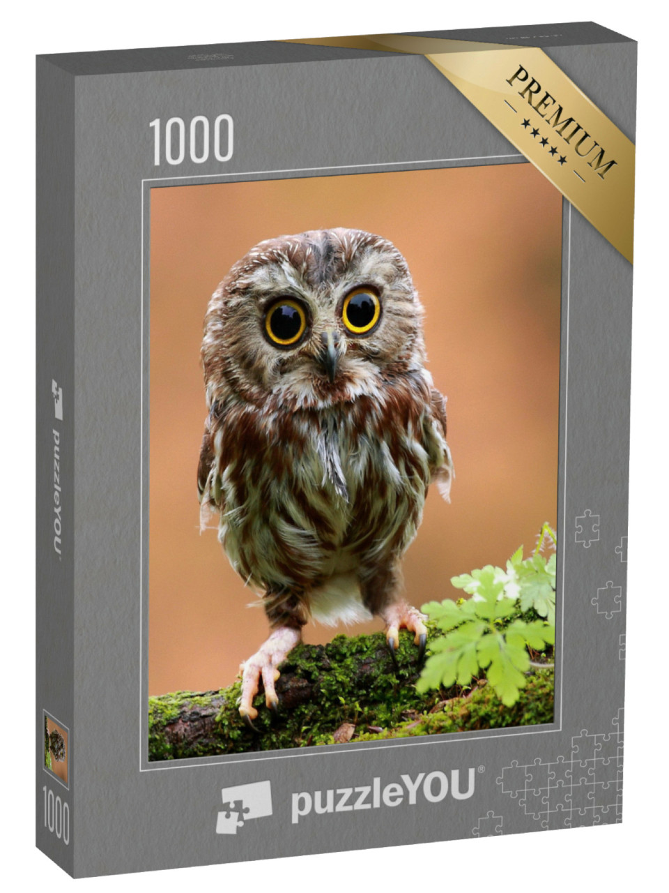 Puzzel 1000 stukjes „De schattige babyuil“
