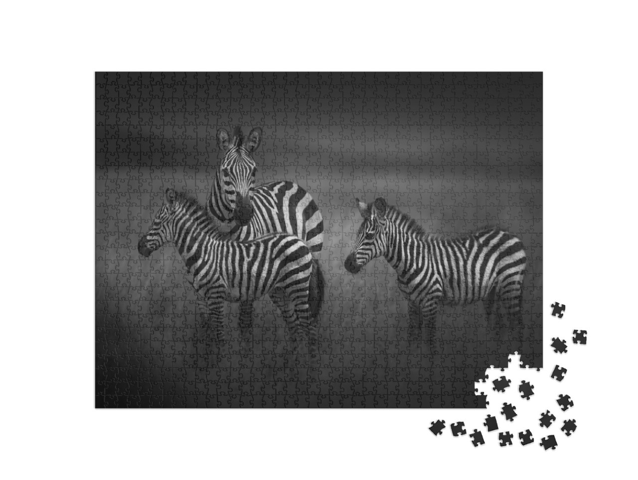 Puzzel 1000 stukjes „Zebramoeder met twee jongen, Tanzania“