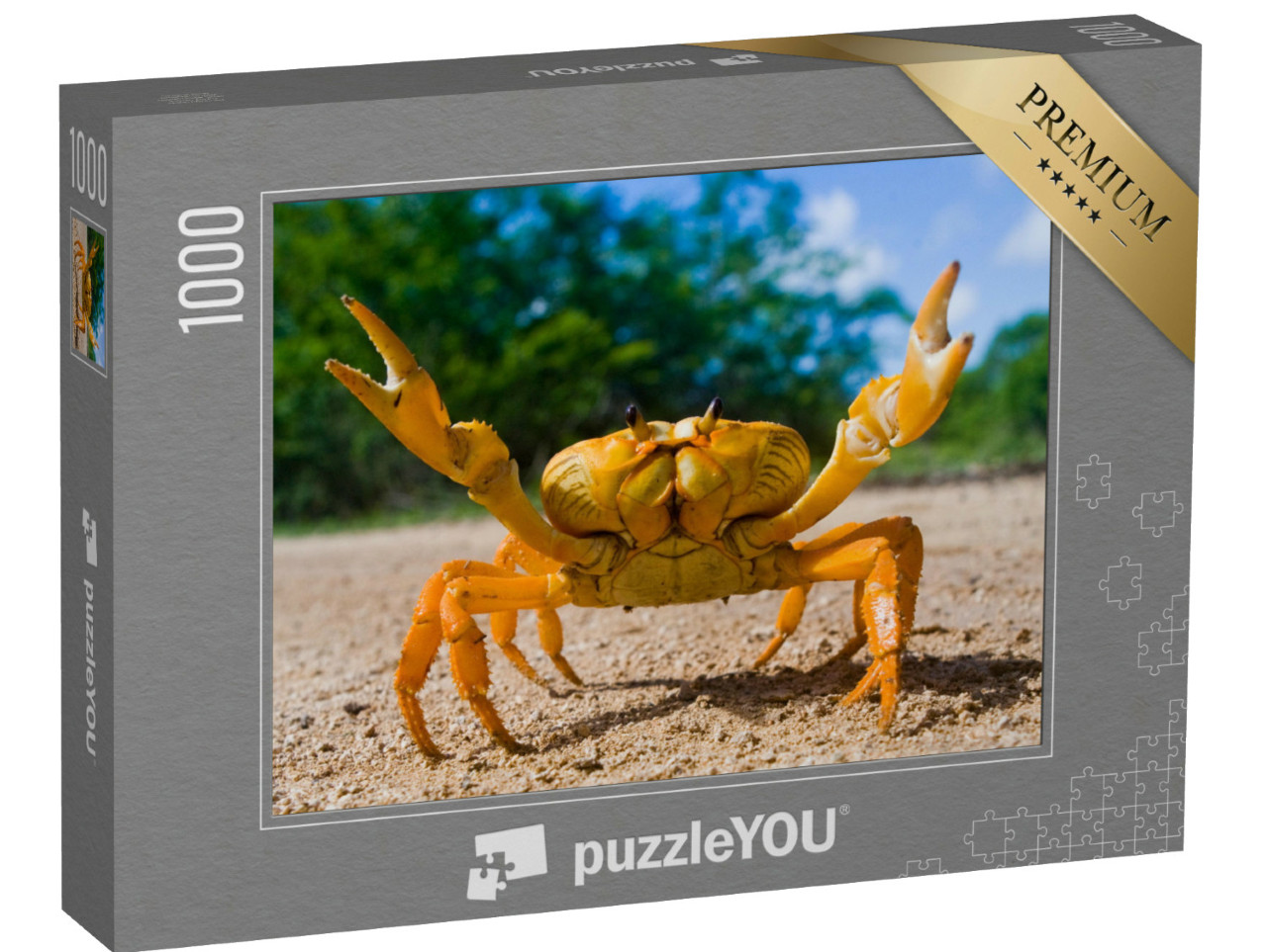 Puzzel 1000 stukjes „Gele landkrab in Cuba“