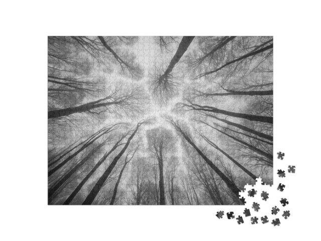 Puzzel 1000 stukjes „Abstracte fotografie: Bomen torenen uit in de mistige lucht“