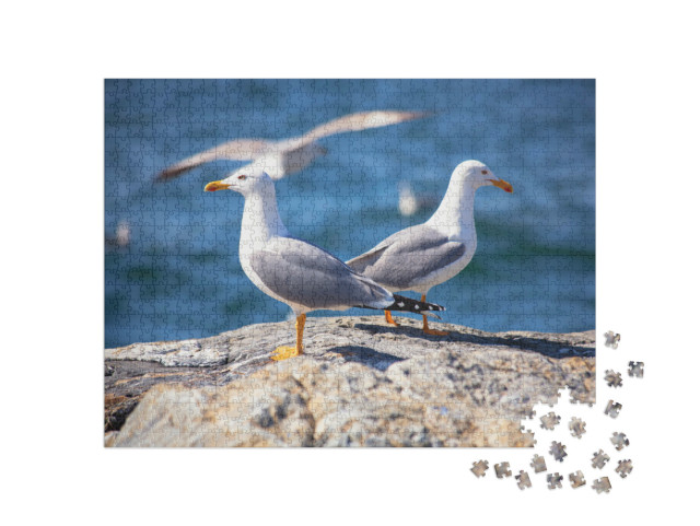 Puzzel 1000 stukjes „Twee meeuwen op het strand“