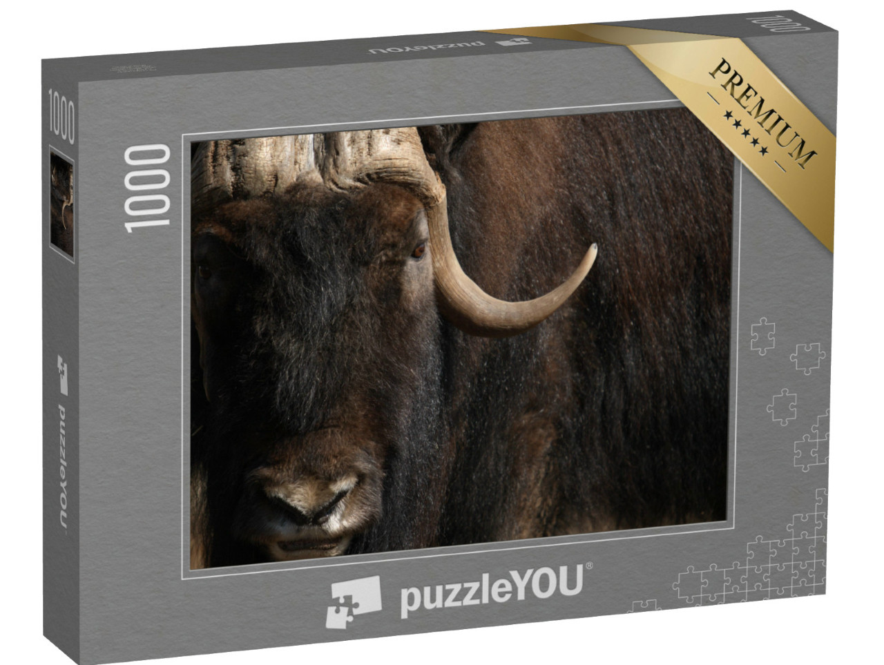 Puzzel 1000 stukjes „Portret van een oude muskusos met lange hoorn en vacht“