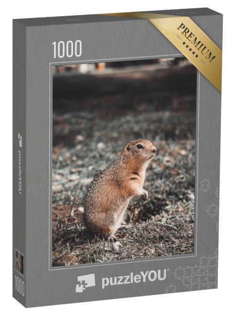 Puzzel 1000 stukjes „Zakklever etend in zijn hol op een open plek, herfst“