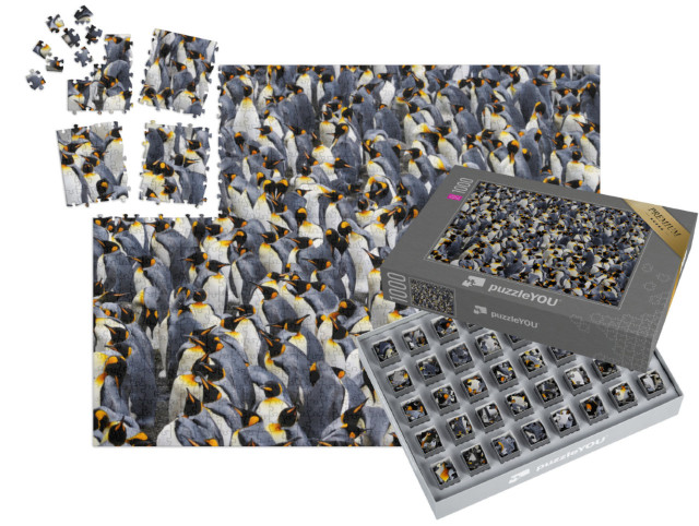 SMART SORTED® | Puzzel 1000 stukjes „Koningspinguïn kolonie“
