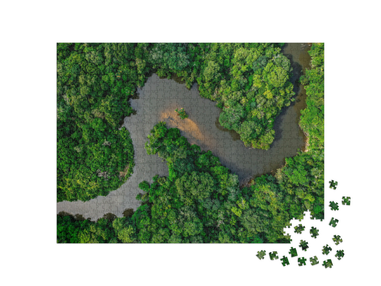 Puzzel 1000 stukjes „Jungle, doorkruist door een brede rivier“