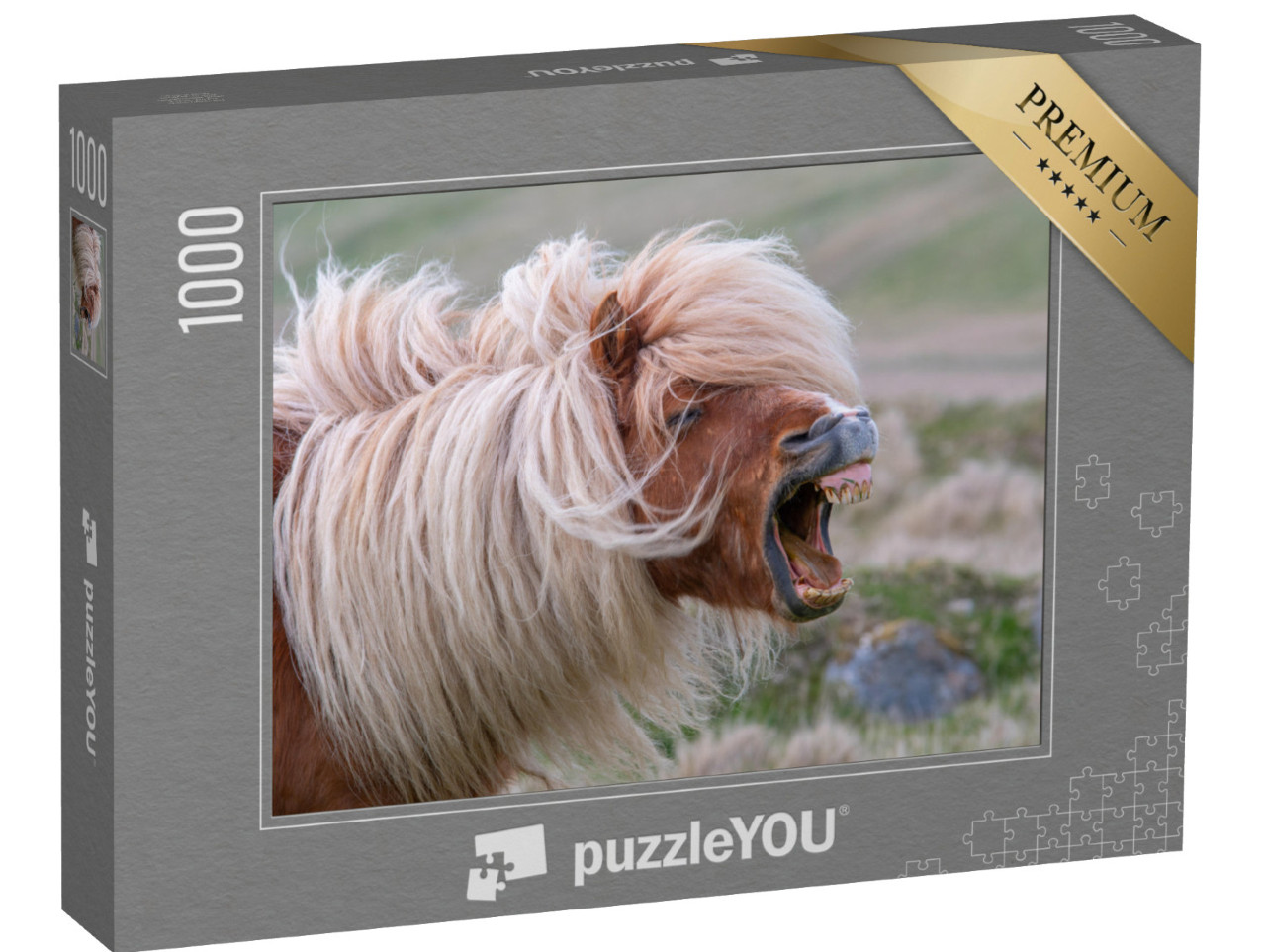 Puzzel 1000 stukjes „Hinnikende Shetland pony met wilde manen“