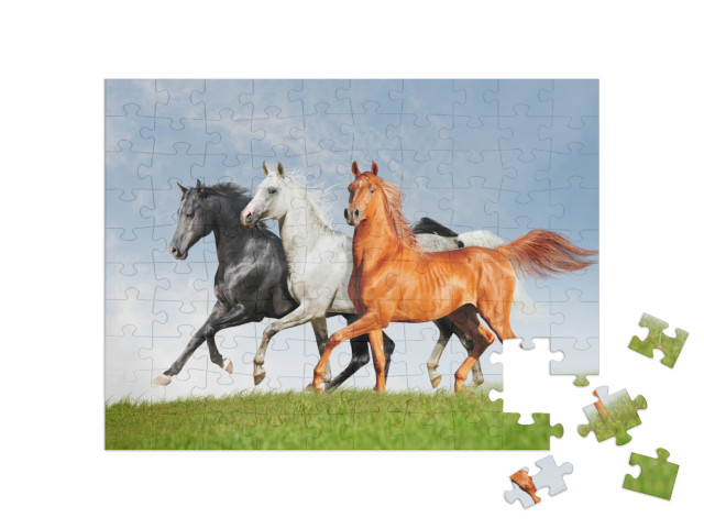 Puzzel 100 stukjes „Drie Arabische paarden“