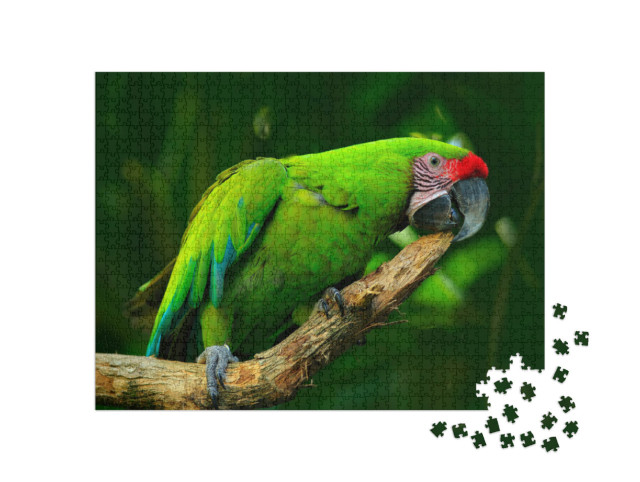 Puzzel 1000 stukjes „Grote groene ara, zeldzame vogel uit Costa Rica“