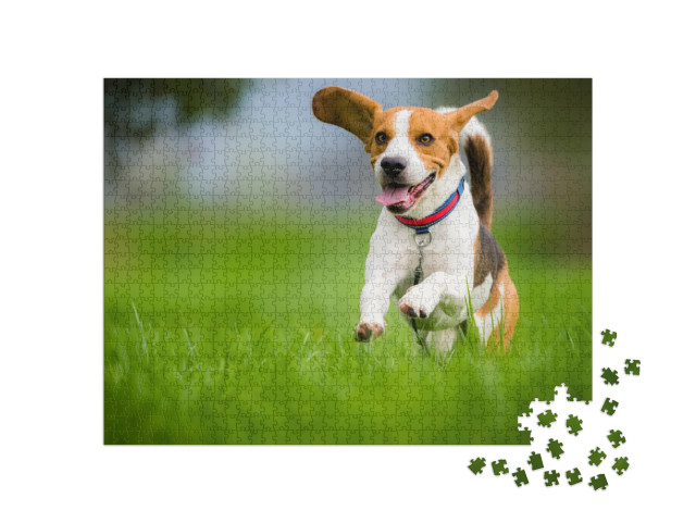 Puzzel 1000 stukjes „Een beagle in de lente“