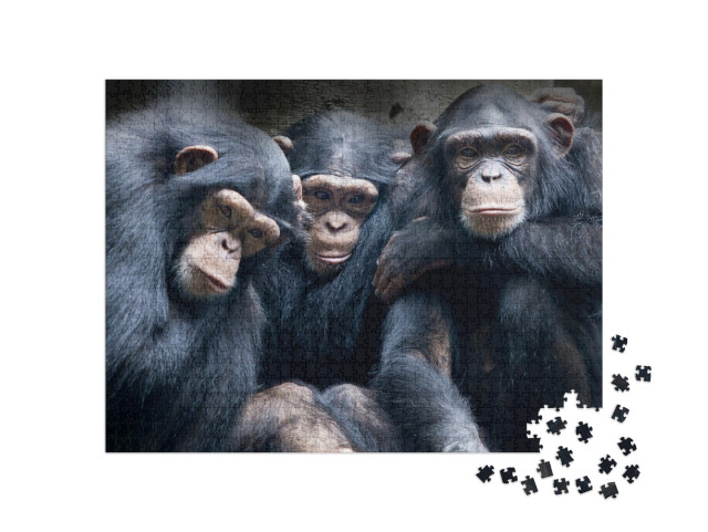 Puzzel 1000 stukjes „Bonobo's en chimpansees in Afrika“