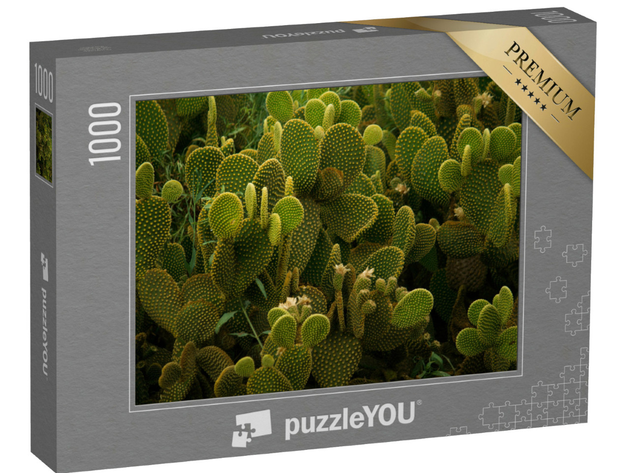 Puzzel 1000 stukjes „Textuur van de woestijn: Angel Wings cactus in close-up“