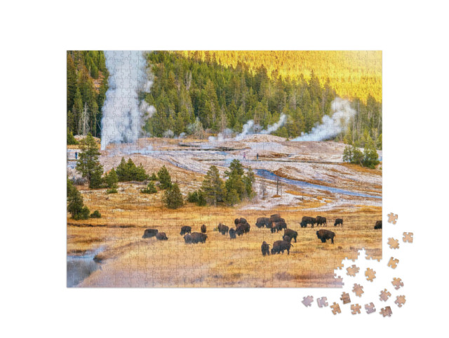 Puzzel 1000 stukjes „Kudde bizons bij zonsondergang in Yellowstone National Park“