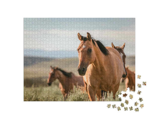Puzzel 1000 stukjes „American Quarter Horse Ranch paarden in Wyoming, Verenigde Staten“