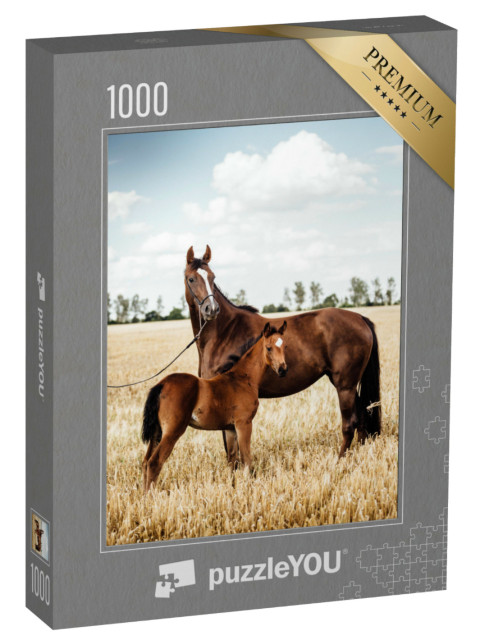 Puzzel 1000 stukjes „Mooie vosmerrie met veulen“