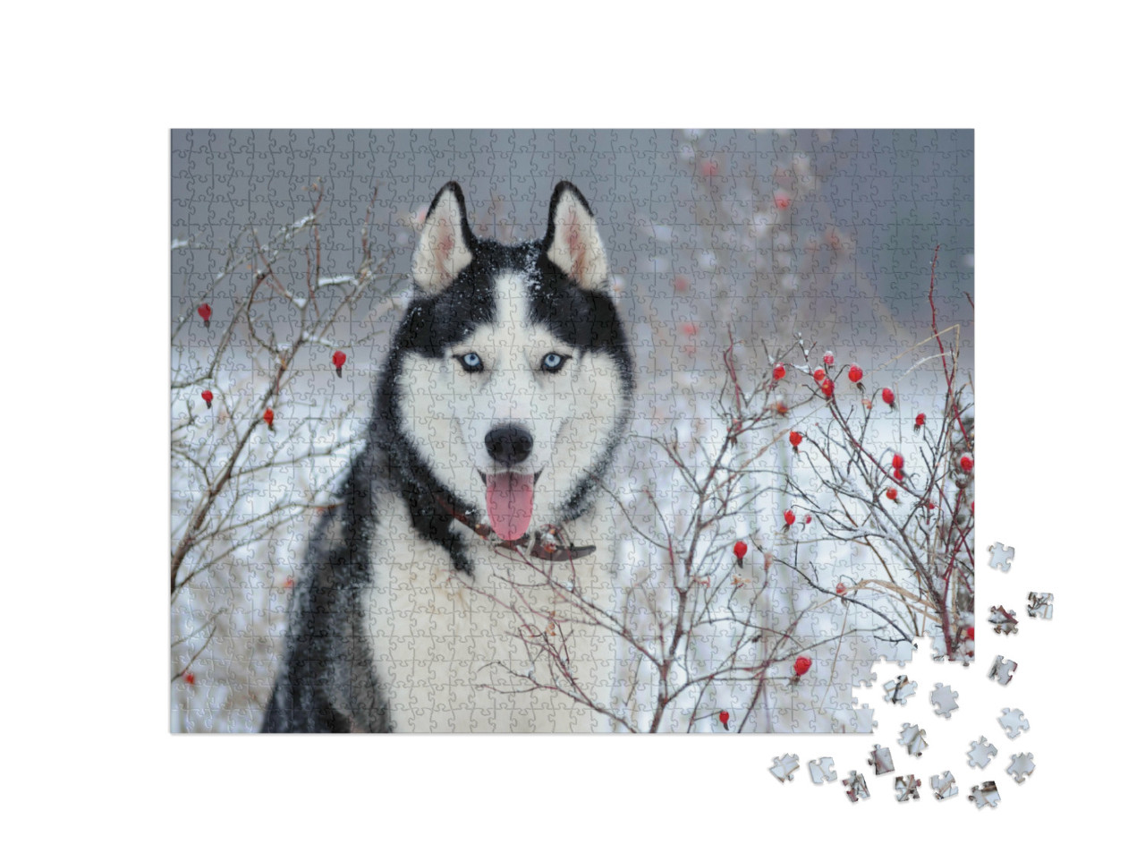 Puzzel 1000 stukjes „Siberische husky met blauwe ogen in de winter“