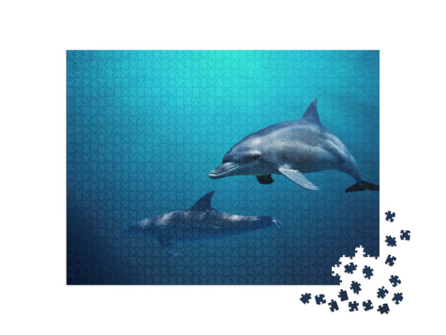 Puzzel 1000 stukjes „Twee dolfijnen zwemmen door blauw water“