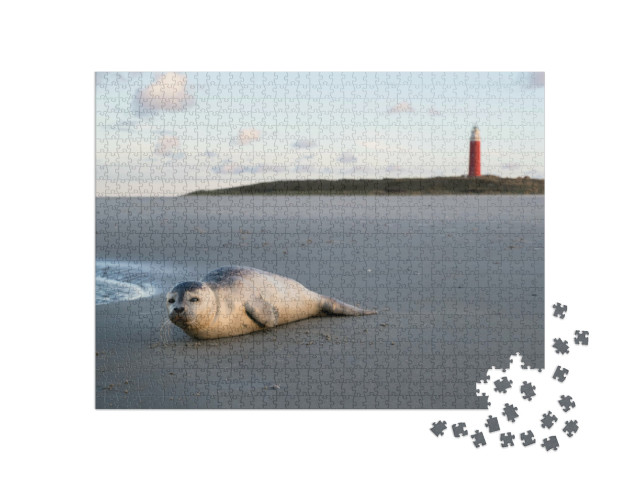 Puzzel 1000 stukjes „Jonge gewone zeehond op het strand van Texel“