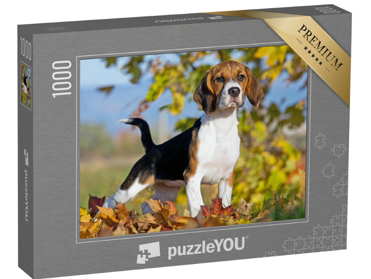 Puzzel 1000 stukjes „Portret van een beagle“