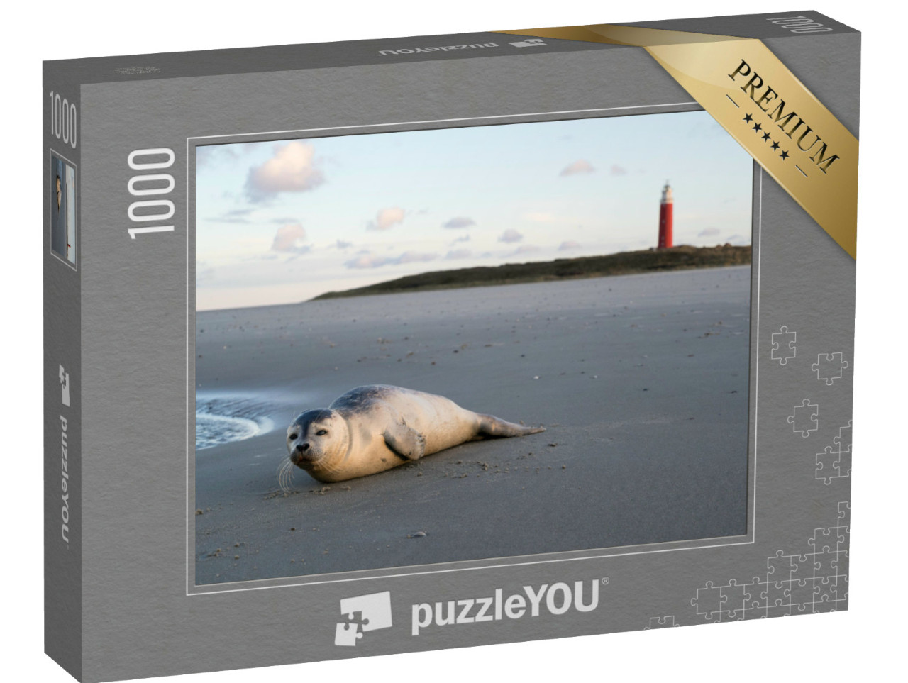 Puzzel 1000 stukjes „Jonge gewone zeehond op het strand van Texel“