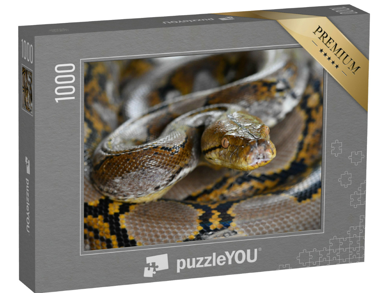 Puzzel 1000 stukjes „Pythonslang van Borneo, Python reticulatus“