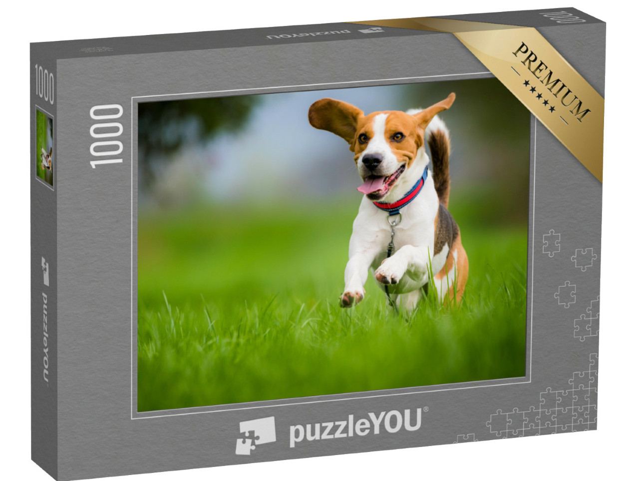 Puzzel 1000 stukjes „Een beagle in de lente“