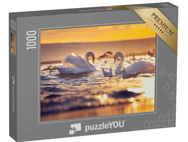 Puzzel 1000 stukjes „Witte zwanen en meeuwen bij zonsopgang“