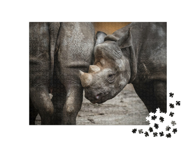 Puzzel 1000 stukjes „Een neushoorn welp“