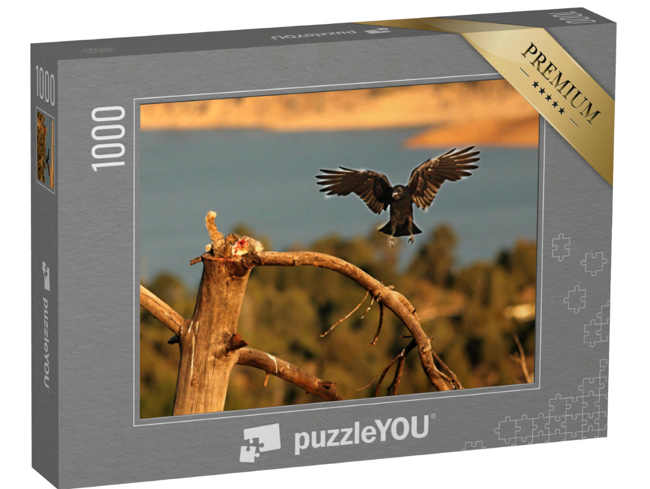 Puzzel 1000 stukjes „Een raaf steelt de prooi van een vale gier“