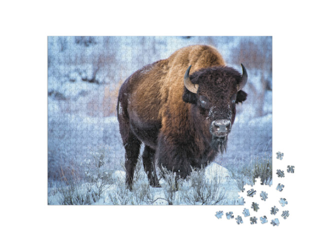 Puzzel 1000 stukjes „Amerikaanse bizon in de sneeuw, Yellowstone National Park“